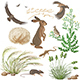 Steppe Plants and Animals Set - GraphicRiver Item for Sale