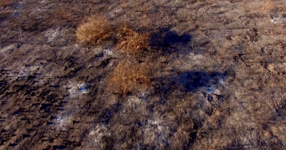 Flight Over Field After Fire