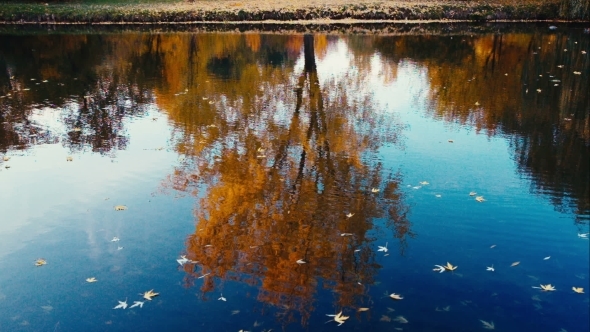 Bright Colors Of Autumn Reflected By Clear Lake