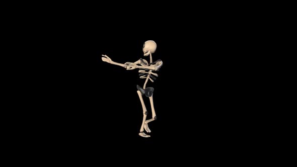 Mexican Dancing Skeleton alt