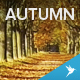 Flying Over the Forrest Road in Autumn - VideoHive Item for Sale