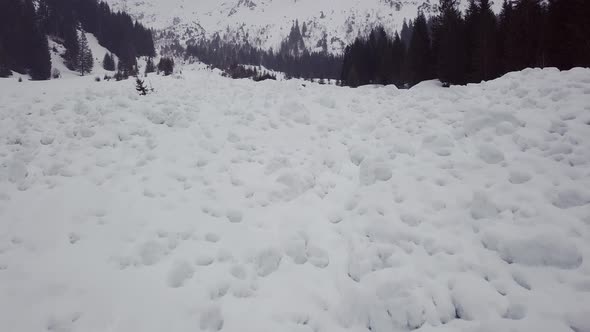 Avalanche runout zone in the alps, Austria, Kleinwalsertal, bad weather