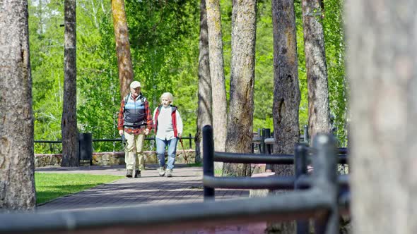 Senior Couple Having Walk in Park