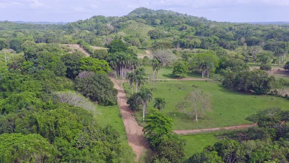 Slow aerial flight over scenic green landscape lighting by sun in Bayaguana,Dominican Republic