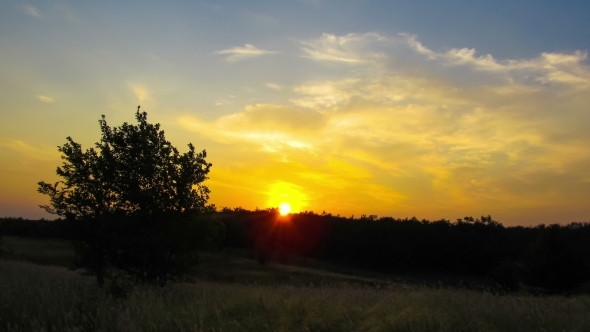 Sunset Over The Trees Through Clouds.