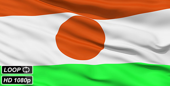 Waving National Flag Of Niger