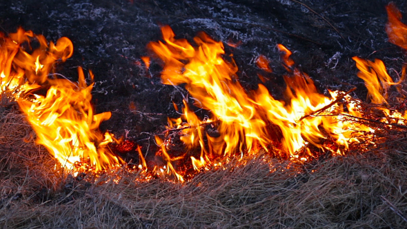 Burning Dry Grass