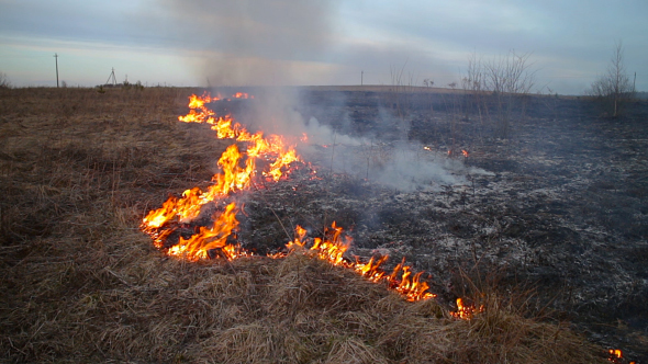 Burning Dry Grass