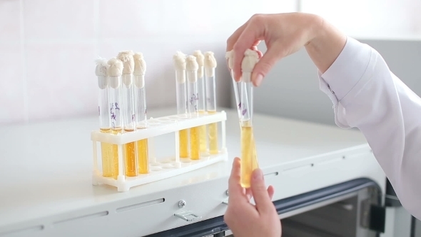 Microbiology Laboratory, Researching Materials