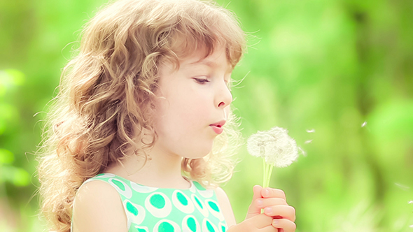 Happy Child Blowing Dandelion