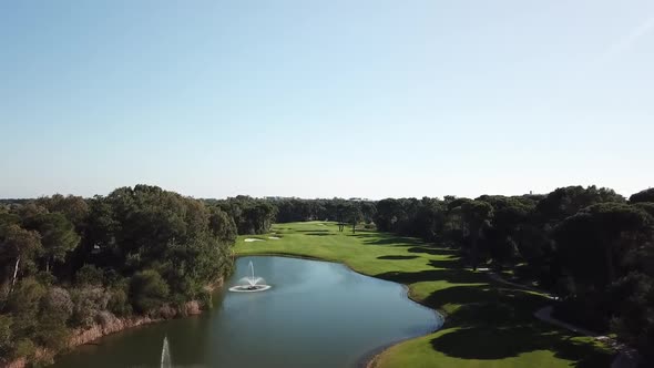 Flying over tree tops to reveal spectacular vivid golf course field