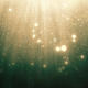 Particle Showers - VideoHive Item for Sale