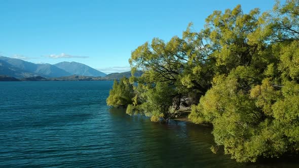Aerial view of trees on the shore of Lake Wanaka to a wide shot of the lake with the mountains in th