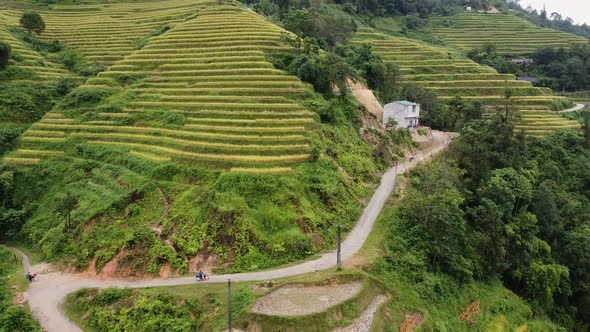 Aerial View Of Rice Fields in the Mountains Around A Green Forest with Trees and Palm Trees in an