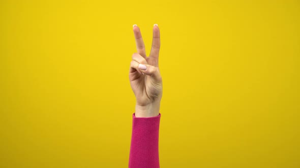 The Female Hand Shows the Sign of Peace or Victory. Studio Photography on an Isolated Yellow