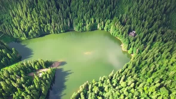 Aerial View Carpathian Mountings in Summer