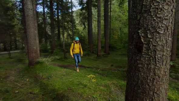 Single man hiking in forest, Parco Naturale dei Laghi di Fusine, Italy