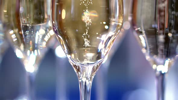 champagne in wine glasses. a sparkling wine. bubbles rise.  buffet table