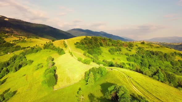 Aerial View of the Endless Lush Pastures of the Carpathian Expanses and Agricultural Land