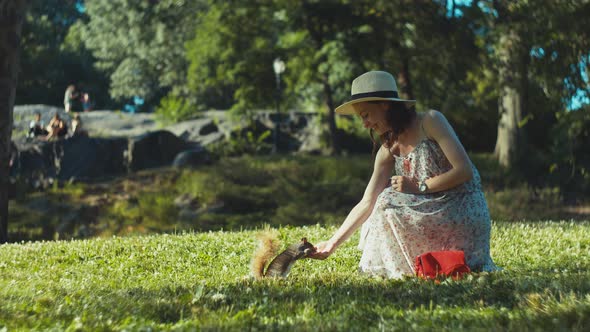 Attractive girl feeds a squirrel in the park