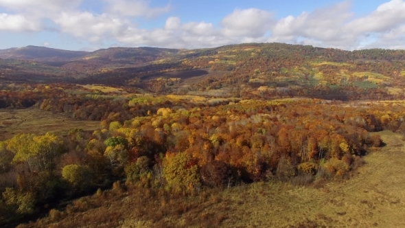 Flying Above Autumn Forest