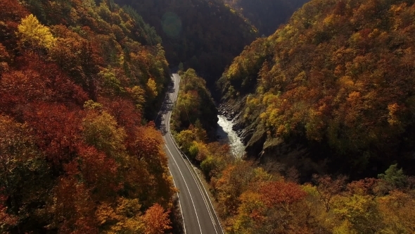 Flying Above Autumn Forest With Mountain Road