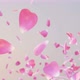 Flying Rose Petals - VideoHive Item for Sale
