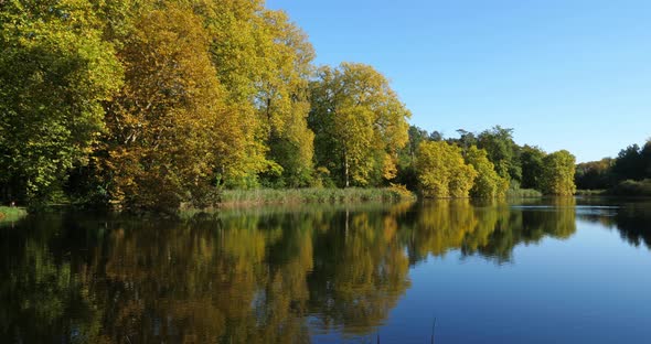 The pond Sainte Perine, Forest of Compiegne, Picardy, France.