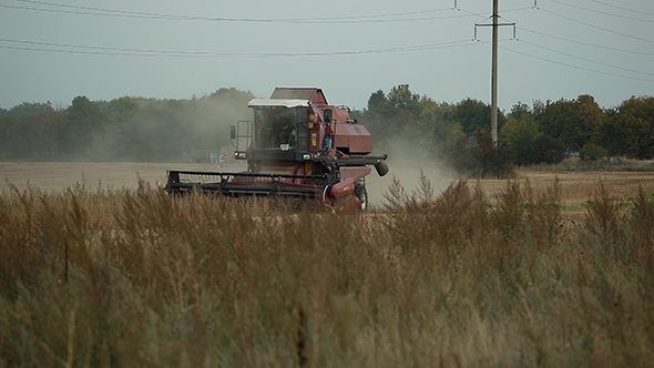 Field, Harvester