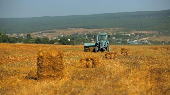 Farm Tractor Collecting Straw In Stubble Field