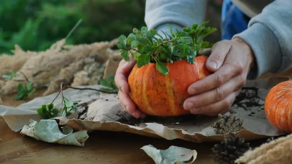 DIY Pumpkin Succulent Planter for Autumnal Garden Decor
