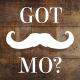 Movember Photo Slideshow - VideoHive Item for Sale