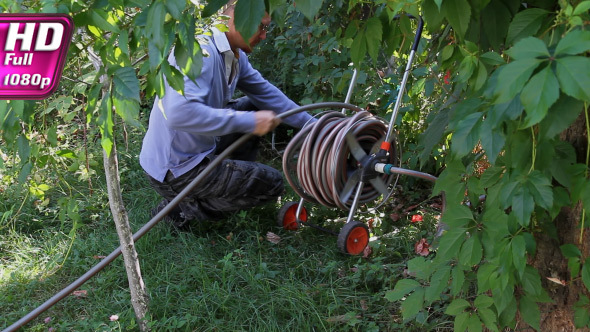 Watering in the Garden