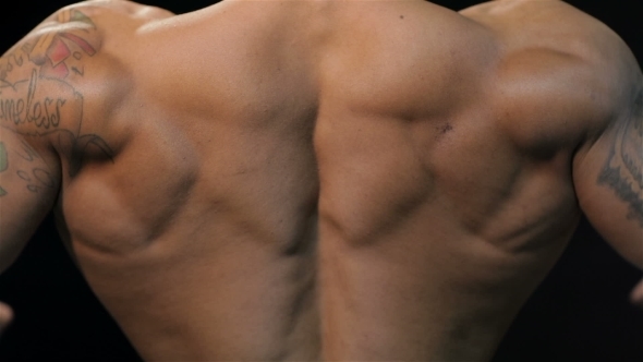Muscular Back