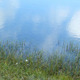 Pond - VideoHive Item for Sale