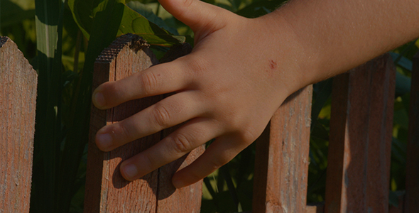 Little Hand Fence