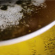 Beer Bubbles Shot from Above - VideoHive Item for Sale