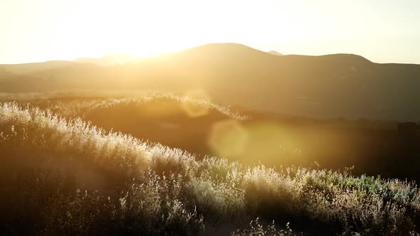 Sunset Over the Valley Fields