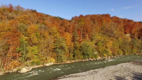 Flying Above Autumn Forest With Mountain River