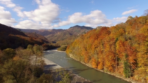 Flying Above Autumn Forest With Mountain River