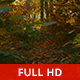 Wild Woods - VideoHive Item for Sale