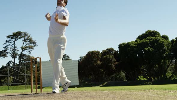 Bowler delivering ball and appealing during cricket match