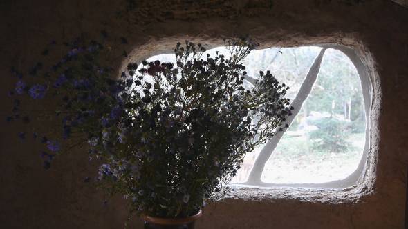 Pan Of Bouquet Of Wildflowers Inside Eco-House