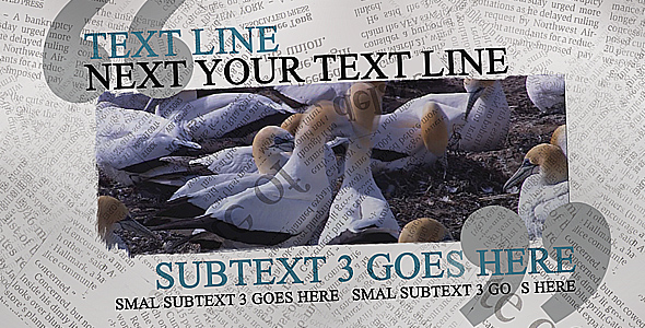 The Newspaper Project alt