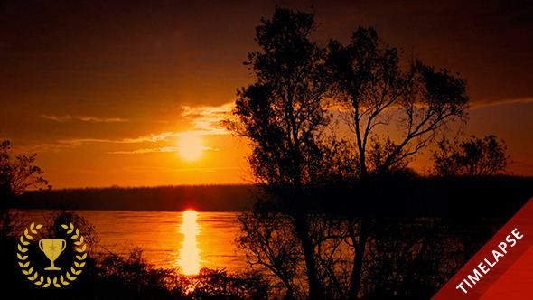 River Bank at Dawn