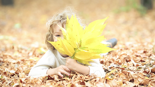 Child In Autumn Park