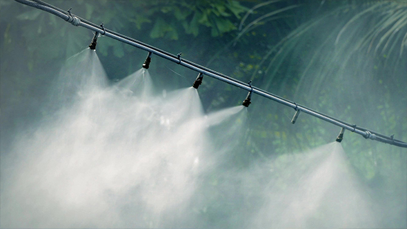 Water Vapor Pumping Out Irrigating Jungle Plants