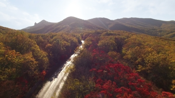 Flying Above Autumn Forest With Mountain Road