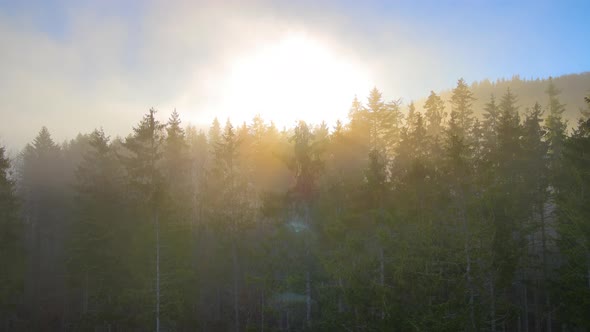 Aerial View of Amazing Scenery with Foggy Dark Mountain Forest Pine Trees at Autumn Sunrise