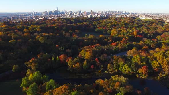 Rotating aerial view of NYC skyline with Prospect Park's beautiful autumn trees in Brooklyn 4K